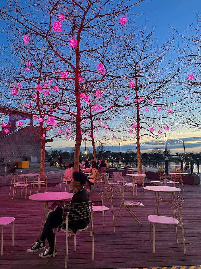 me sitting on a dock with fake cherry blossom lights