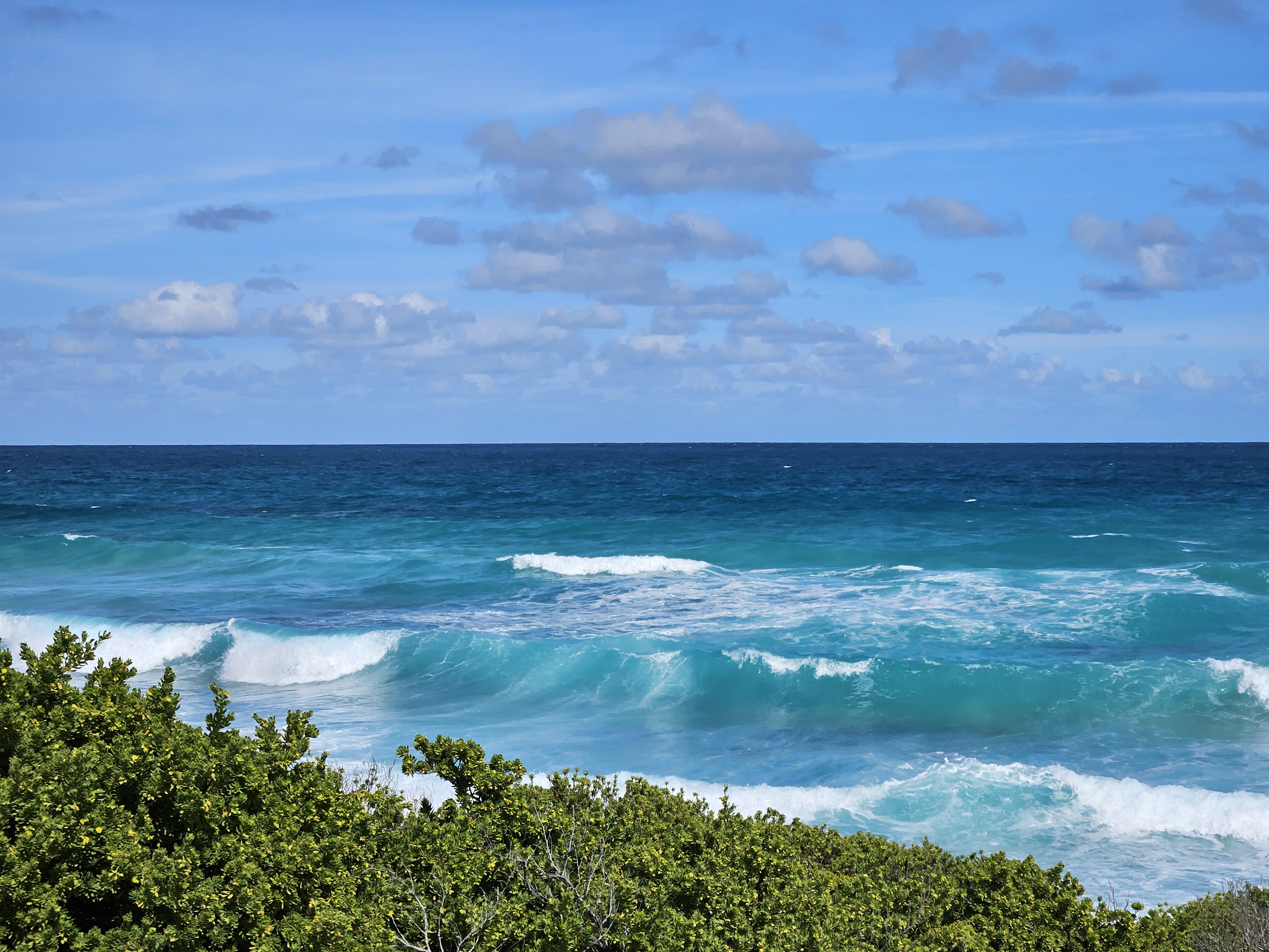caribbean waves crashing on land