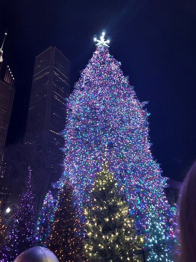 colorful christmas tree at night