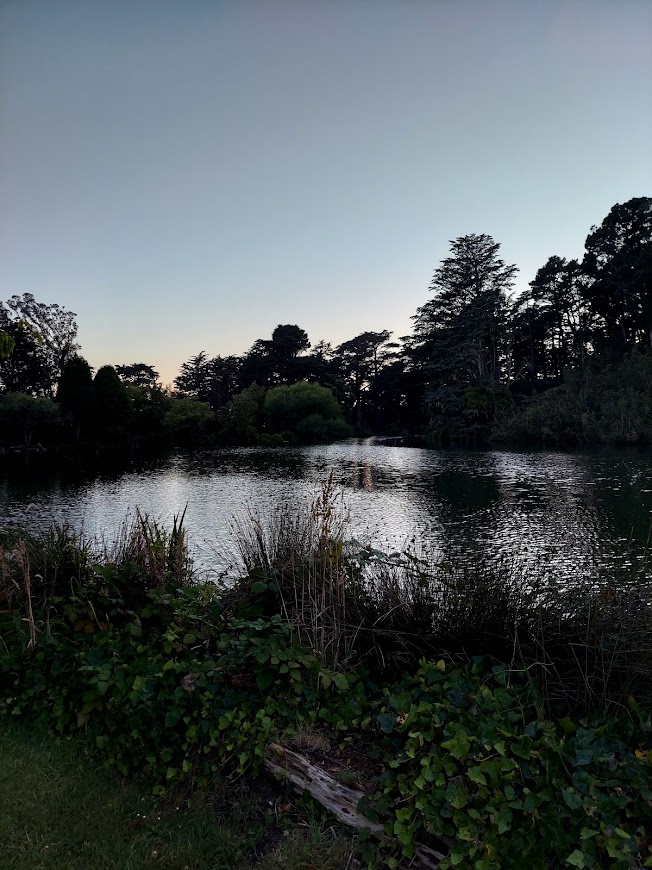 lake and trees at a park